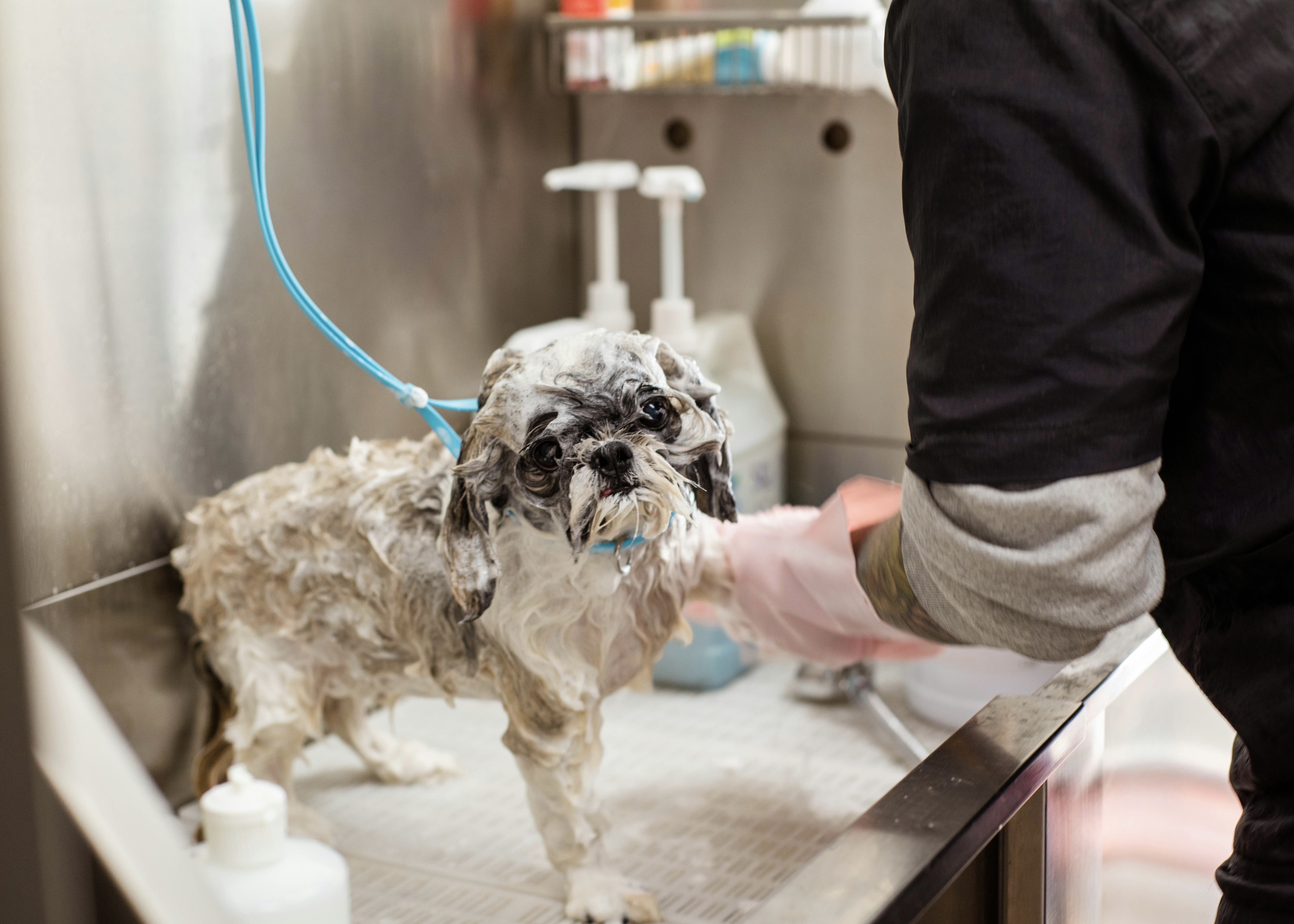 Hygiene